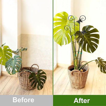 COOMIN 30'' Monstera Plant Support Outdoor, Metal Expandable Plant Supports for Indoor Plants, 4P Garden Trellis for Climbing Plants Indoor - Ivy, Pothos, Philodendron, Hoya
