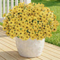 Artificial Flowers for Outdoor,Silk Flowers No Fade Fake Plastic Flowers UV Resistant Faux Plants for Outdoors Outside Front Porch Hanging Planter Window Box Garden Home Decoration,13 Pack(Yellow)