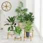 5 Pack Metal Outdoor Plant Stand Heavy Duty Plant Pot Stands for Indoor and Outdoor Round Flower Pot Support Rack for Multiple Display Pot Rack