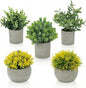 Fake Plants, 5 Pack Artificial Eucalyptus & Greenery in Cement Pots - Small Potted Faux Plants for Indoor Outdoor Shelves, Desk, Table, Farmhouse Bathroom, Office & Modern Home Decor