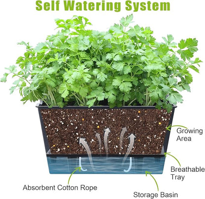 Window Box Planter 6 Pcs, 12.1 Inches Self Watering Plant Pots Rectangle Flower Pots with Drainage Holes and Breathable Trays, Vegetable Planters for Windowsill Patio Garden Balcony Porch Yard (Black)