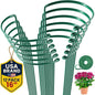 K-Brands 12 Pack Plant Support Stakes – Heavy-Duty Half Round Peony Support Ring and Cage for Indoor and Outdoor Plants – Peony, Tomato, Hydrangea, Rose 10" Wide x 16" High