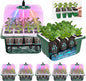 5PCS 60 Cell Self Watering Seed Starter Tray with Grow Light, Reusable Silicone Seed Starter Kit with Humidity Dome, 60 Cells Plant Germination Trays for Seeding Planting Growing（5-Pack 60-Cell）