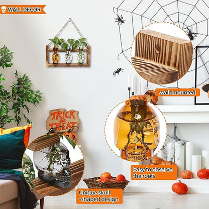 Terrarium Set with 3 Skull Glass Vases and Wood Stand