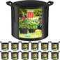 12 Pack Grow Bags 5 Gallon, 300G Heavy Duty Thickened Non-Woven Plant Bag Plant Fabric Pots with Handles Planting Bags, Pot for Plants