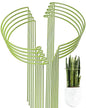 10-Pack Plant Support Stakes, Heavy Duty Steel Plant Stakes as Monstera Plant Support & Peony Cages, Metal Garden Stakes for Indoor Outdoor Plants, Snake Plant & Vine Support, 10" W x 15.8" H