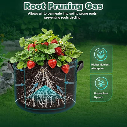 5 Pack 5 Gallon Grow Bags, Thickened Aeration Nonwoven Fabric Plant Pots with Handles, Heavy Duty 300G Garden Planting Bag for Tomato, Potato, Strawberry, Vegetable, Fruits and Flowers