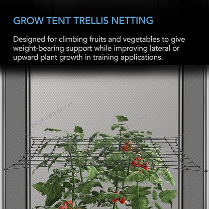 AC Infinity Grow Tent Trellis Netting 3x3', Heavy-Duty Elastic Plant Net with Steel Hooks, Flexible Hydroponics Support for Grow Tents, Gardening, and Horticulture
