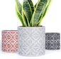 Plant Pots, Set of Indoor Plant pots, Plastic Planter with Drainage and Saucer, Modern Distinctive Self Watering Plant Pot, Spray Spots (Indoor Plant Pots)