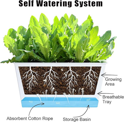 Window Box Planter 6 Pcs, 12.1 Inches Self Watering Plant Pots Rectangle Flower Pots with Drainage Holes and Breathable Trays, Vegetable Planters for Windowsill Patio Garden Balcony Porch Yard (White)