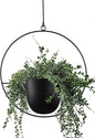 Hanging Planter for Indoor Outdoor Plants Metal Mid Century Minimalist Wall Ceiling Plant Hanger, Hanging Flower Pot Basket Holder for Home Office Décor(Black)
