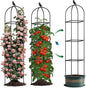 Square Tomato Cages for Garden, 6.2 FT Cucumber Trellis for Flowers, Grape, Pea, Rose, Bean, Rustproof Plastic Coated Metal Plant Support for Potted Plants Indoor Outdoor - 2PC Obelisk Trellis