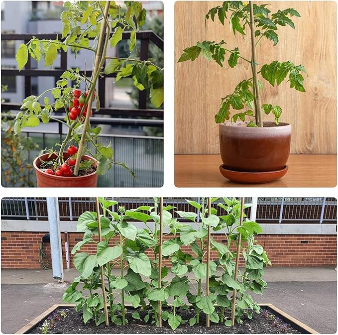 25pcs 7/20" D Thicker Heavy Duty Bamboo Stakes, 3FT Plant Stakes, Natural Garden Stakes for Tomato, Bean, Flowers,Trees Potted and Climbing Plant Support