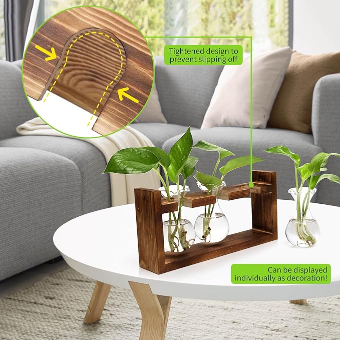 Terrarium Propagation Station, 3 Clear Borosilicate Glass Bulbs, Wooden Stand