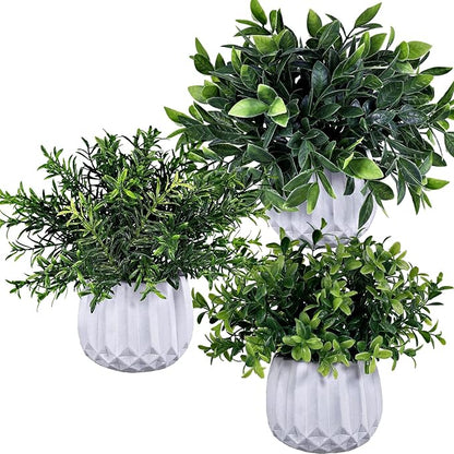 Winlyn 3 Pcs Faux Potted Plants Set - Artificial Eucalyptus, Rosemary, Boxwood Greenery in Small White Geometric Planters for Indoor Outdoor Desk Table Centerpiece Shelf Windowsill Home Office Decor
