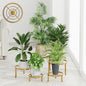 5 Pack Plant Stand Indoor Outdoor, Flower Pot Stand Plant Rack for Home Courtyard Gardens, Round Metal Corner Plant Stand for Flower Holder for Multiple Plants