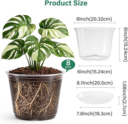 8 Packs 8 Inch Reinforced Large Clear Nursery Pots with Sacuers, Transparent Plastic Plant Pot Seedling Planter with Drainage Holes for Vegetable Propagation, Root Cutting, Seed Starting