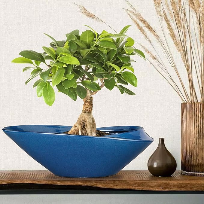 Blue Ceramic Bonsai Planter, 18 Inch Indoor Pot with Drainage Hole