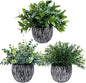 Winlyn Set of 3 Artificial Potted Plants Faux Eucalyptus Rosemary Boxwood Greenery in Black & White Concrete Pots Small Fake Plant for Indoor Outdoor Home Office Table Shelf Windowsill Greens Décor