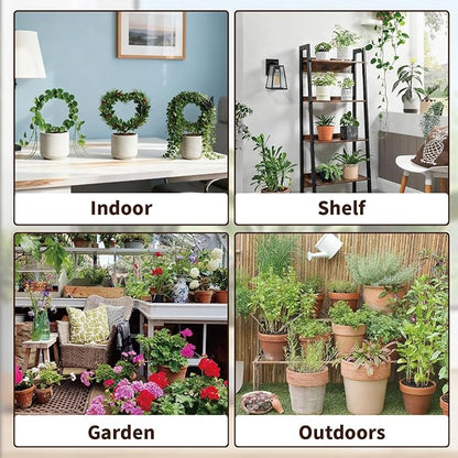 Indoor Climbing Plant Trellis - 3pcs Small Garden Potted Support Outdoor Plants Propagation Trellises Accessories with 20pcs Ties for Garden Plant Houseplant