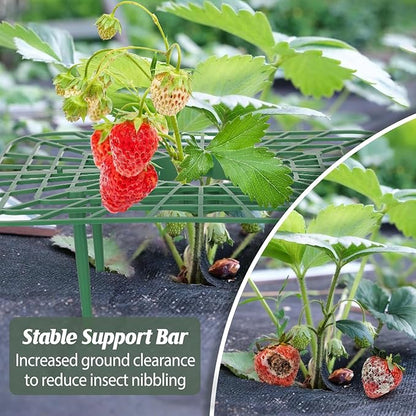 6 Sets Strawberry Plant Support with Mesh Plant Cover,Strawberry Growing Racks Sets with Iron Plant Nails and Storage Bag for Garden Strawberry Vegetables(White Net - Square)