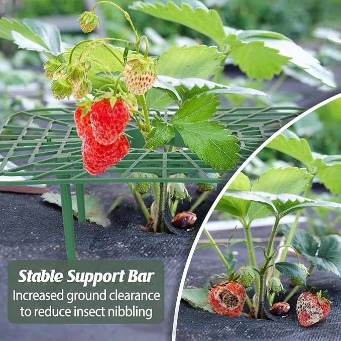 6 Sets Strawberry Plant Support with Mesh Plant Cover,Strawberry Growing Racks Sets with Iron Plant Nails and Storage Bag for Garden Strawberry Vegetables(Green Net - Square)