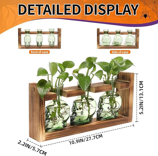 Terrarium Skull Glass Propagation Vases, Set of 3 with Wood Stand