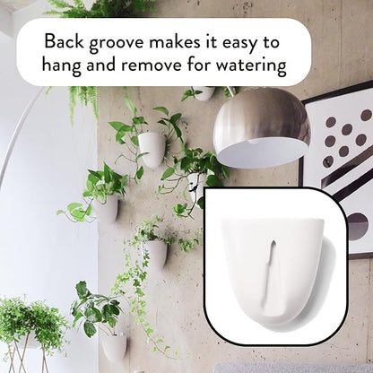 Make Good PlantPod Luxe Self-Watering Wall Planters (Set of 3) - Easy to Water and Install - Lightweight - Design Your Own Vertical Garden - Wall Planters for Indoor Plants
