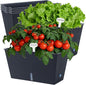Window Box Planter 6 Pcs, 12.1 Inches Self Watering Plant Pots Rectangle Flower Pots with Drainage Holes and Breathable Trays, Vegetable Planters for Windowsill Patio Garden Balcony Porch Yard (Black)
