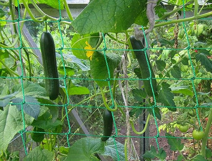 Trellis Netting for Climbing Plants - Heavy Duty Garden Trellis Netting for Cucumber, Vine, Fruits & Vegetables Tomato Plants Trellis Net, Climbing Vining Plants (2-Pack 24.6' x 6.6'Ft)