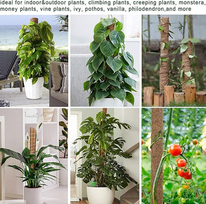 Moss Pole 58.7 Inch - Monstera Plant Support 5 Pack, 17.5" and 12" Plant Stakes for Indoor Plants Coco Coir Moss Pole Sticks for Climbing Potted Live Plants, Pothos, Philodendron