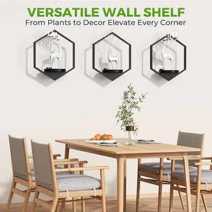 Wall Planters for Indoor Plants, Plant Frames Wall Decor Living Room Plant Stand Hanging Wall Plants Holder to Hold Large Pots Wall Plant Hanger Window Plant Shelves for Outdoor Entryway