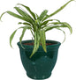 Sunnydaze Large Ceramic Plant Pot - Round Outdoor Glazed Ceramic Planter Pot with Drainage - Studio - Dark Green - 15"