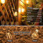 String Lights 100 ft Outdoor LED with 53 Vintage Edison Bulbs