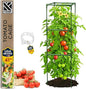 Tomato Cage Square - Large Trellis Stakes and Plant Support Structures for Vegetables and Climbing Plants - Tall Tomato Cages for Garden, Pots, Raised Garden Bed Outdoor Supplies (1 Pack - Up to 41")