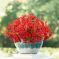 12 Bundles Artificial Pansy Flowers for Outdoor, Faux Silk Pansies Spring Flowers Outside for Planter Front Door Porch Patio Yard Window Box Home Decor (Red)