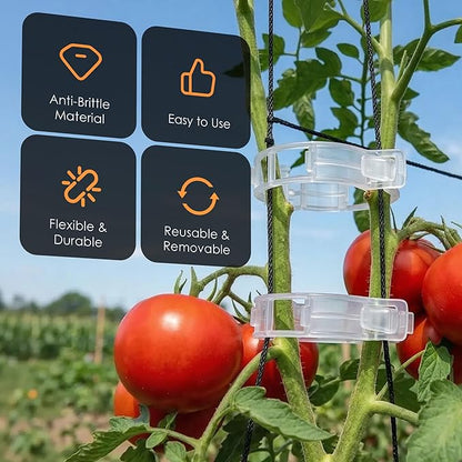 100pcs Tomato Clips for Climbing plants, Plastic Trellis Plant Support Clips for Garden, Reusable Clips for Supporting Grape Tomato Vine and Vegetables Plants to Grow Upright Makes Plants Healthier