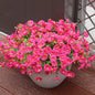 Artificial Flowers for Outdoors, UV Resistant Fake Silk Morning Glory, Realistic Faux Plants for Outside Porch Patio Window Box Hanging Planter (16, Hot Pink)