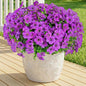 Artificial Flowers for Outdoor Indoor,Silk Flowers No Fade Fake Plastic Flowers Faux Plants for Outdoors Outside Front Porch Hanging Planter Window Box Garden Home Decoration,13 Pack(Purple)