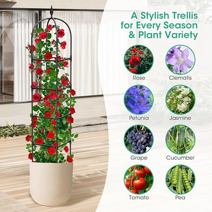 2 Pack Garden Obelisk Trellis for Climbing Plants, 71" Metal Rustproof Plant Support Rose Trellis, Tower Potted Cages for Flowers Fruits Vegetable Vines Indoor & Outdoor, Black(4 Tiers)