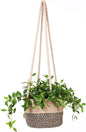Hanging Planter Basket Jute Rope Woven Plant Hangers Indoor Hanging Plant Holder Up to 7" Pot Macrame Modern Storage Organizer Home Decor (Jute)