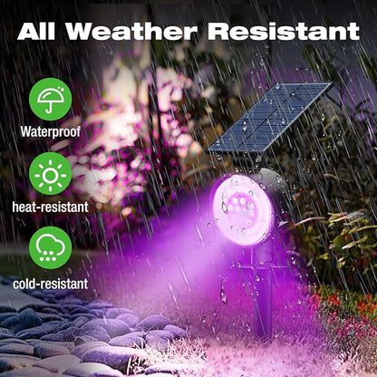 nipify 8 Pack Solar Spot Lights Outdoor Waterproof, Solar Spotlight Light for Outside Yard Landscape Lighting Pathway Lights Wall Auto On/Off, RGB