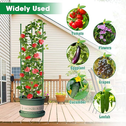 6 Pack Tomato Cages, 51.2in Tomato Plant Support Stakes Heavy-Duty, Garden Tomato Cages & Trellis for Climbing Vegetables, Tomatoes, Peppers, and Potted Plants(6)