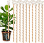 10pcs Electroculture Plant Stakes, 17'' Copper Coil Wire Antennas, Garden Stakes, Tensor Rings Kit, Copper Rods Electronic Planting for Growing Vegetable Garden Plants Support