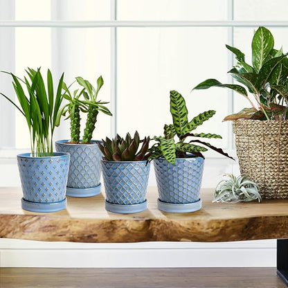 EFISPSS Plant Pots,5 Inch Pots for Indoor Plants,Planters with Drainage Hole and Saucer, Ceramic Flower Pots Desktop Office Windowsill Decoration Gift Set of 4 - Sky Blue