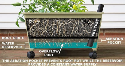 Emsco Group 2342-1HD City Picker Self Watering and Improved Aeration – Mobile Unit with Casters-Sand Raised Bed Grow Box