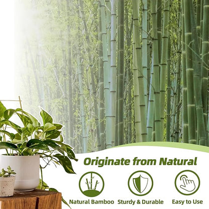 Avalution 20 Pack Bamboo Trellis for Climbing Plants Indoor, 16 Inch Garden Ladder Trellis for Potted Plants, Fan-Shaped Small Plant Support Trellis for Houseplants Ivy Hoya Vine Monstera