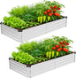 2 Pack 6x3x1FT Galvanized Metal Raised Garden Bed Kit for Vegetables, Herbs, Open-Bottom Large Capacity Outdoor Planter Box Gardening Stakes, Silver