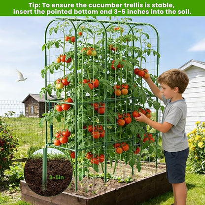 2 Pack 65in Tall Cucumber Trellis for Raised Bed, 50" L x 65" H Metal Garden Trellis for Climbing Plants Outdoor, U-Shape Vegetables Trellis Support for Squash Zucchini