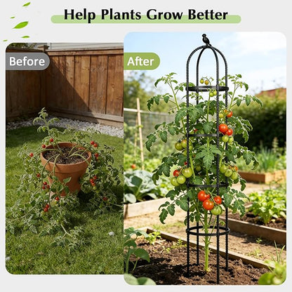 Garden Obelisk Trellis for Climbing Plants Outdoor, 6.2 FT Tomato Cage, Rose, Flowers, Grape, Pea, Cucumber Trellis, Rustproof Plastic Coated Metal Plant Support Trellis for Potted Plants (2 Pack)